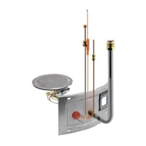 Rheem® AM43705 Burner Door Assembly, 18 in