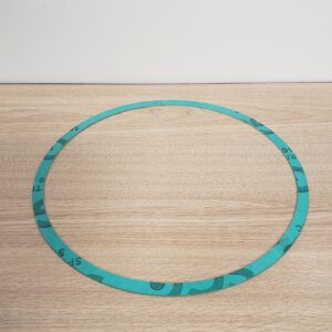 Armstrong Fluid Technology 426401-004 Casing Gasket, 10 in