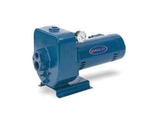 Berkeley 10LT2 Multi Stage Jet Pump, 1 hp, Cast Iron
