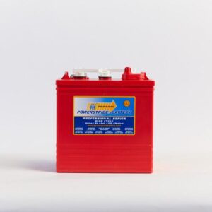 Approved Vendor GC-5 Exide Deep Cycle Battery, 6V