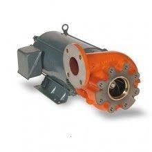 Berkeley B54115 B Centrifugal Pump, 3 Phase