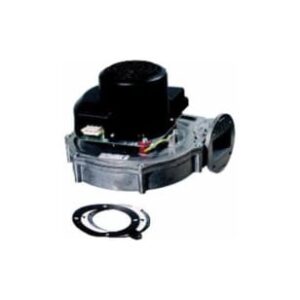 Lochinvar® 100145005 Fan Assembly, 120 VAC, 50/60 HZ, 107 W, Class H