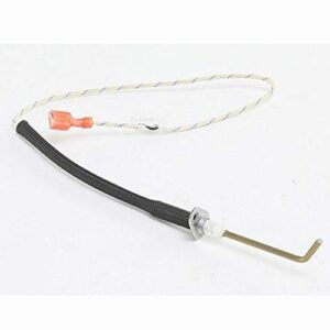 AO Smith® 100112678 Flame Sensor