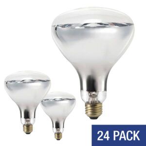 Canarm® B-HLR40C250W Heat Lamp Bulb, 250 W, R40, Clear