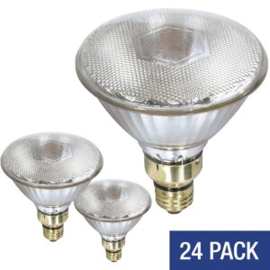 Canarm® B-HLPAR38C175W Heat Lamp Bulb, 175 W, PAR38, Clear