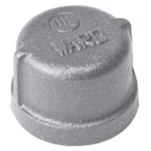 Approved Vendor 2813 Black Iron Cap, 2 in, FIP
