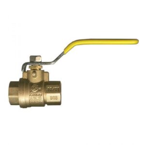 GasFlo BV2103-D Ball Valve, 1/2 in, FNPT, Full Port, PTFE