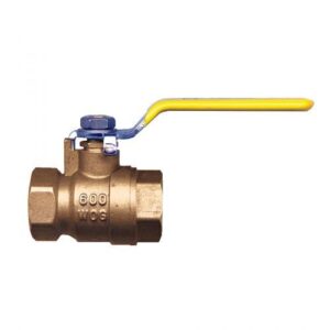 Fairview BV4103-P Ball Valve, 3 in, FNPT, Full Port, PTFE