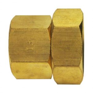 Fairview 199S-E Pipe Coupling, 3/4 in, FPT x FNPT, Brass