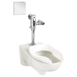 American Standard 3351101.020 Wall-Mount Toilet Bowl, Afwall, White, Elongated Shape, 1.1 to 1.6 gpf, 12 in Rough-In, 2-1/8 in Trapway