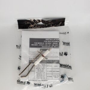 Lochinvar® 100165929 Ignitor